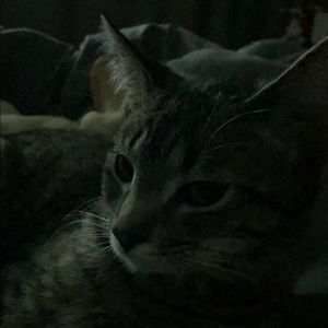 Meet your Posher, Jaime